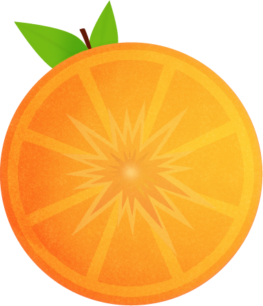 Citrus Systems Inc Orange